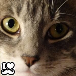 Meet your Posher, Carol